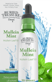 Mullein Mint  (30 servings)
